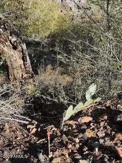 000 Diaz St #12132425, Jerome, AZ 86331 photo 2
