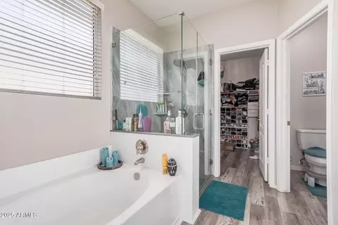 Bath - 3904 S Sinova Ave, Gilbert, AZ 85297 photo 1 of 4