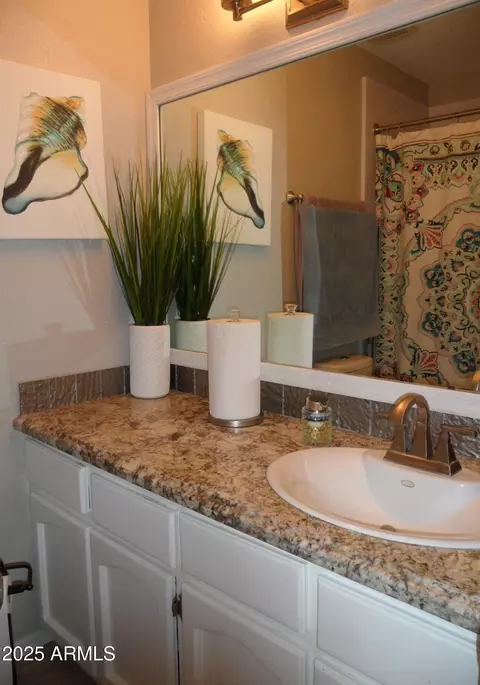 Bath - 3511 E Capri Ave, Mesa, AZ 85204 photo 3 of 3