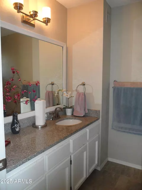 Bath - 3511 E Capri Ave, Mesa, AZ 85204 photo 1 of 3