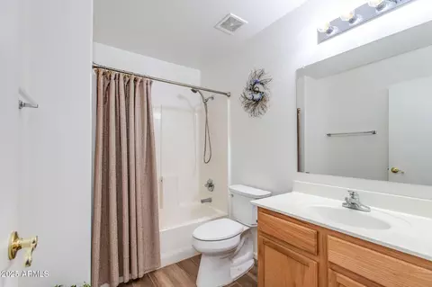 Bath - 11019 N 154th Ln, Surprise, AZ 85379 photo 4 of 4