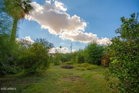 1717 E Oak St, Phoenix, AZ 85006 photo 5