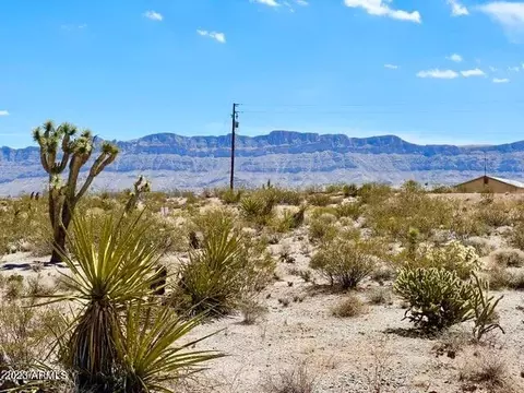 30390 N Dutton Dr #182, Meadview, AZ 86444
