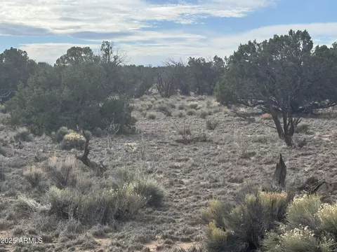lot338 Sierra Highlands Rnch #338, Saint Johns, AZ 85936