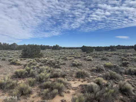 lot338 Sierra Highlands Rnch #338, Saint Johns, AZ 85936