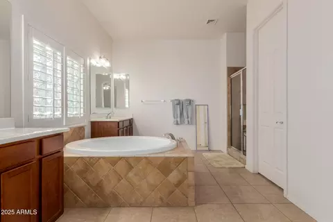 Bath - 3136 E Castanets Dr, Gilbert, AZ 85298 photo 3 of 5