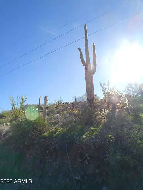 0 E Silver Tip Rd #-, Queen Valley, AZ 85118 photo 9