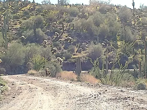 0 E Silver Tip Rd #-, Queen Valley, AZ 85118 photo 12