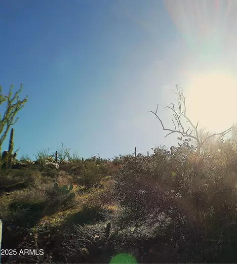 0 E Silver Tip Rd #-, Queen Valley, AZ 85118 photo 4