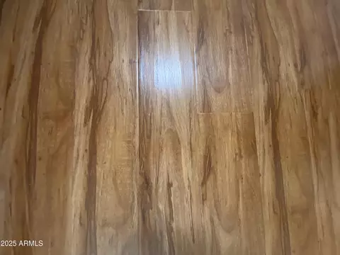 1549 W Yurok Ave, Apache Junction, AZ 85119 photo 6