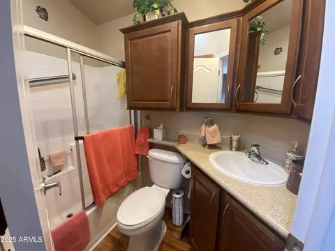1549 W Yurok Ave, Apache Junction, AZ 85119 photo 15