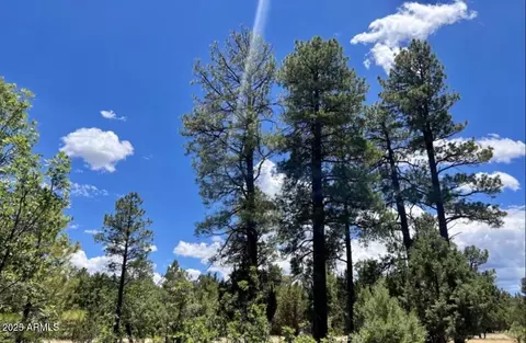 4453 Navajo Dr #358, Happy Jack, AZ 86024