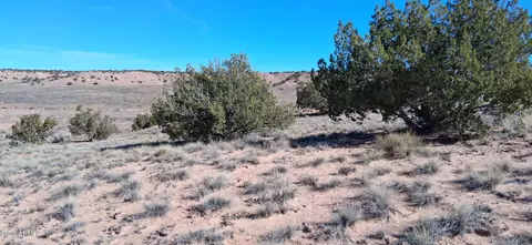 3 02 Acres Unnamed Rd #457, Sanders, AZ 86512