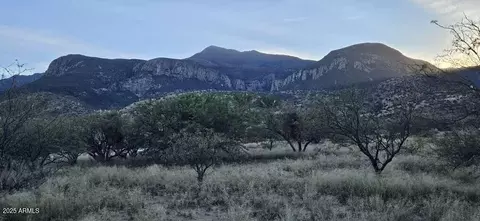 2 E 5 Acres E Emma Ln #-, Hereford, AZ 85615