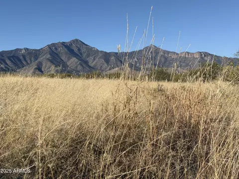 tbd E Rio Lobo Trl #-, Hereford, AZ 85615
