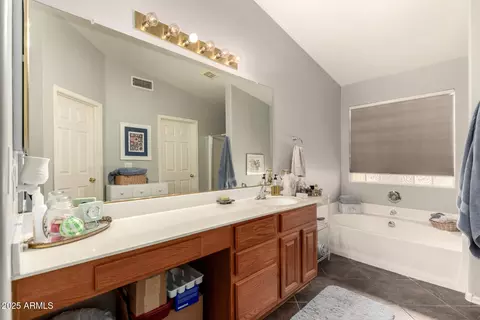 Bath - 10447 E Diamond Ave, Mesa, AZ 85208 photo 1 of 3