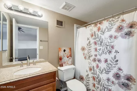 Bath - 30 E Brown Rd #2040, Mesa, AZ 85201 photo 2 of 2