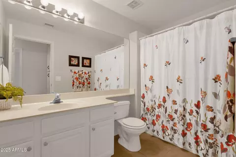 Bath - 1678 E Rawhide St, Gilbert, AZ 85296 photo 2 of 6