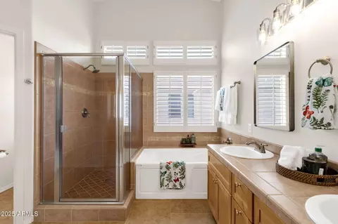 Bath - 1678 E Rawhide St, Gilbert, AZ 85296 photo 5 of 6