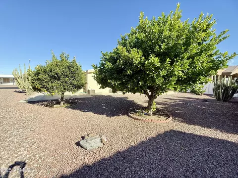 2756 N Wright Way, Mesa, AZ 85215 photo 42