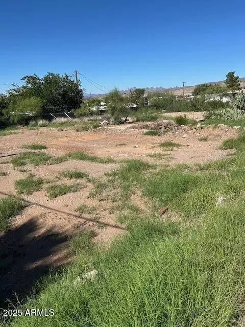 112 N South Ave #12, Superior, AZ 85173