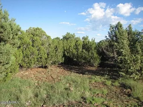 Sec 29 T14n, R17e: Parcel 6 -- #'''-''', Heber, AZ 85928