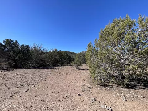 NNNN Cattle Drive #160, Williams, AZ 86046