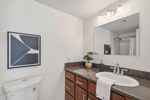 Bath - 4446 E Carter Dr, Phoenix, AZ 85042 photo 1 of 2
