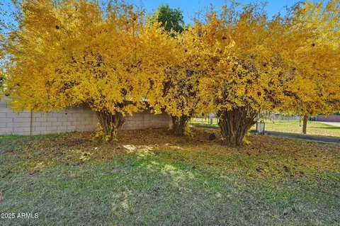 Exterior - 914 S 132nd St, Gilbert, AZ 85233 photo 14 of 14