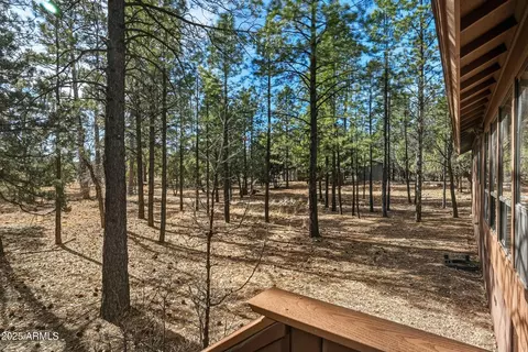 2768 Apache Dr, Happy Jack, AZ 86024 photo 24