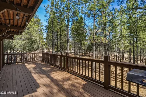 2768 Apache Dr, Happy Jack, AZ 86024 photo 23