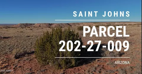 150 150 County Road N6100 -- #-, Saint Johns, AZ 85936