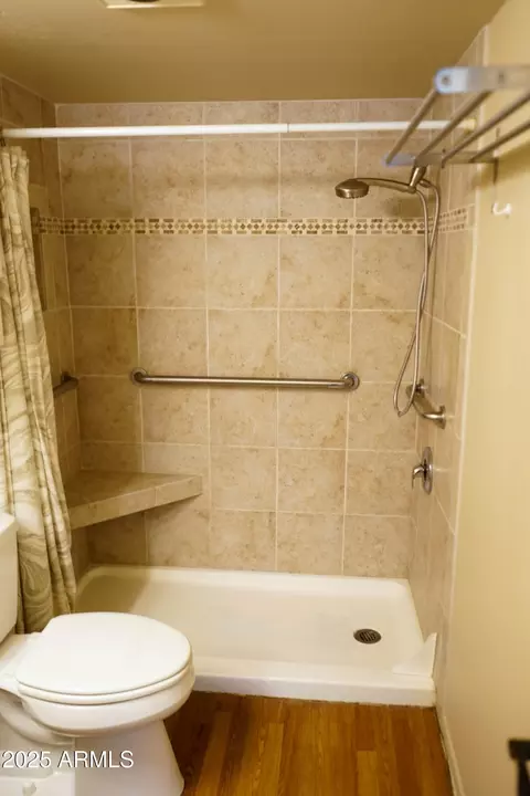 Bath - 30 E Brown Rd #2106, Mesa, AZ 85201 photo 2 of 2