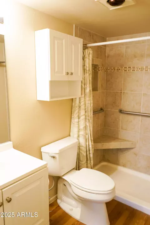 Bath - 30 E Brown Rd #2106, Mesa, AZ 85201 photo 1 of 2