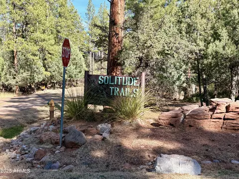 19 N Elk Rub Ln #19, Pine, AZ 85544