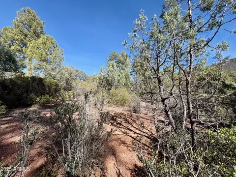 19 N Elk Rub Ln #19, Pine, AZ 85544