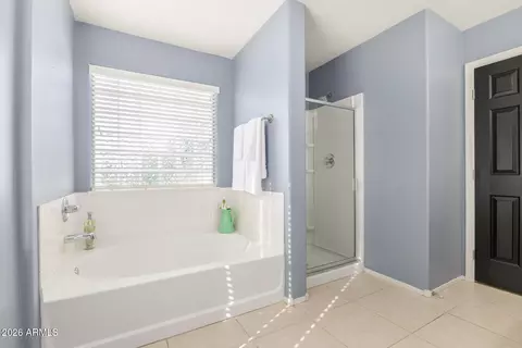 Bath - 3535 E Terrace Ave, Gilbert, AZ 85234 photo 3 of 4