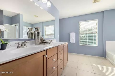 Bath - 3535 E Terrace Ave, Gilbert, AZ 85234 photo 2 of 4