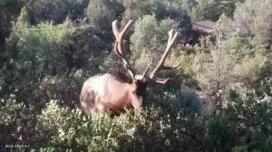 Other - 1201 W Chatham Dr, Payson, AZ 85541 photo 4 of 19