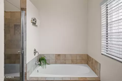 Bath - 2342 E Mallard Ct, Gilbert, AZ 85234 photo 2 of 4