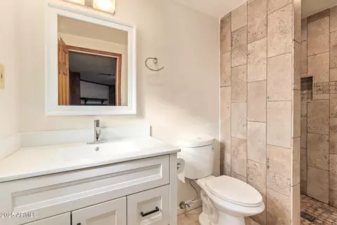 Bath - 101 W Park Ave, Gilbert, AZ 85233 photo 2 of 2