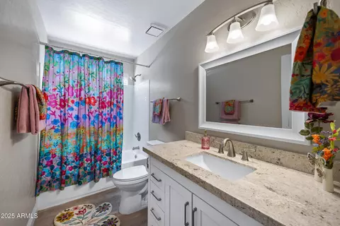 Bath - 844 E San Remo Ave, Gilbert, AZ 85234 photo 4 of 4