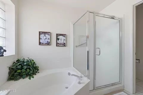 Bath - 8009 E Natal Ave, Mesa, AZ 85209 photo 3 of 4