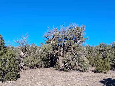 5 County Rd N8285 -- #-, Concho, AZ 85924 photo 20