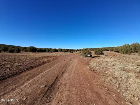 5 County Rd N8285 -- #-, Concho, AZ 85924 photo 8