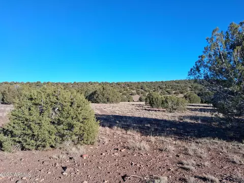 5 County Rd N8285 -- #-, Concho, AZ 85924 photo 21