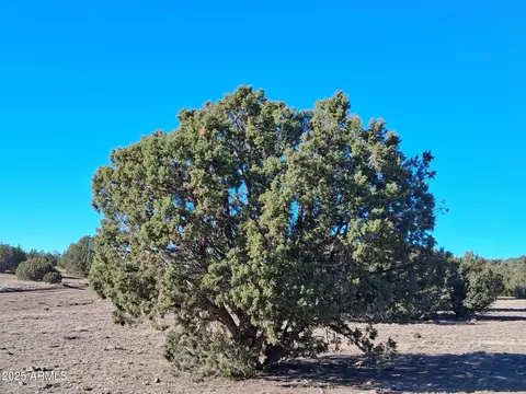 5 County Rd N8285 -- #-, Concho, AZ 85924 photo 9