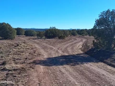 5 County Rd N8285 -- #-, Concho, AZ 85924 photo 7