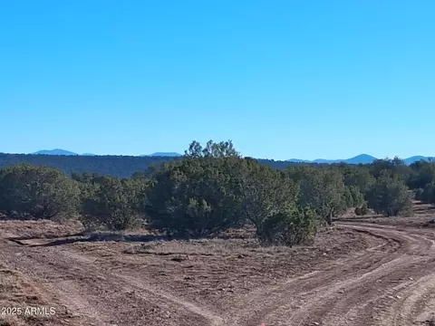 5 County Rd N8285 -- #-, Concho, AZ 85924 photo 12