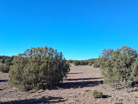 5 County Rd N8285 -- #-, Concho, AZ 85924 photo 17